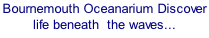 Bournemouth Oceanarium Discover life beneath  the waves...
